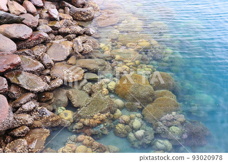 peace harbor coral reef hualien taiwan 93020978