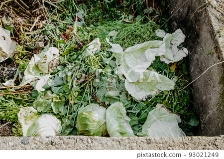 Compost pit for food waste. Eco-friendly consumption, recycling. Concept of organic fertilizers for garden. Compost pit for food waste. Eco-friendly consumption, recycling. Concept of organic fertilizers for garden. 93021249