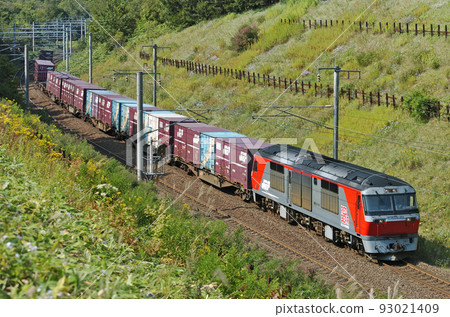 Chitose Line Kaminopporo - Kitahiroshima JR Freight DF200-54 (Washibetsu) 93021409