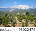 Mountain landscape 93022479