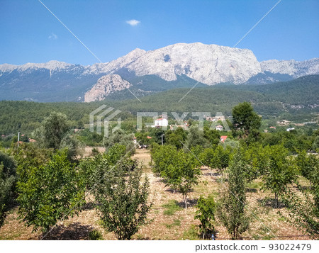 Mountain landscape 93022479
