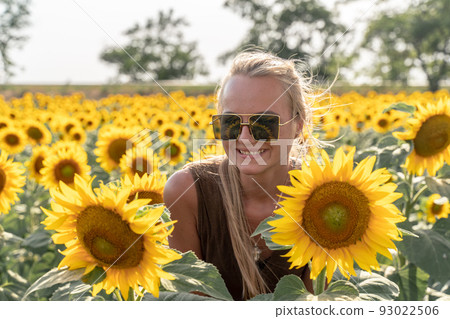 Beautiful woman in sunflower field at sunset enjoying summer nature. Attractive blonde with long healthy hair. Beautiful woman in sunflower field at sunset enjoying summer nature. Attractive blonde with long healthy hair. 93022506