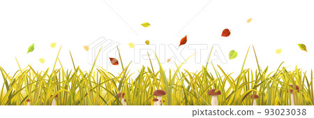 Autumn grass with mushrooms and leaves Autumn grass with mushrooms and leaves 93023038