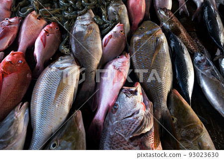 Fresh fish in the market close up. Fresh fish in the market close up. 93023630