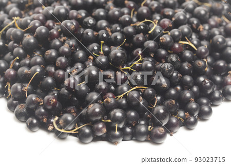 Black currant top view, close up. Vegan and vegetarian concept. Summer healthy food. Macro of berries. Black currant top view, close up. Vegan and vegetarian concept. Summer healthy food. Macro of berries. 93023715