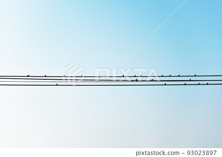 Group of swallows sitting on wires against the blue sky Group of swallows sitting on wires against the blue sky 93023897