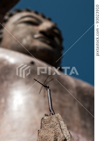 Small dragonfly insect sitting near blurred buddha statue. 93023910