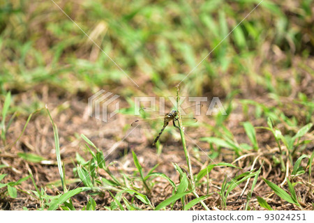 Hakushu Town, Hokuto City 93024251