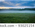 Summer meadow with dandelions and fog on the background of fog. 93025154