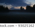 Night sky landscape with fog and forest in the background. 93025162