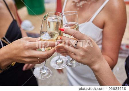 Celebrating with glasses of alcohol in hands. Happy female friends having good time. Celebrating with glasses of alcohol in hands. Happy female friends having good time. 93025638