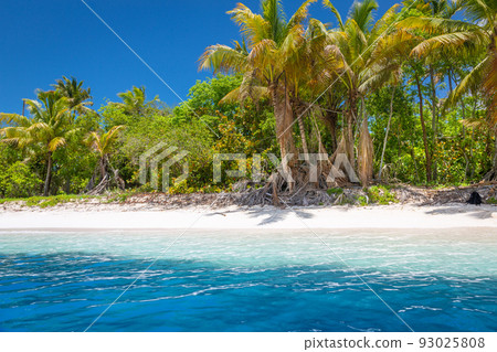 Tropical paradise: Saona Island caribbean beach, Dominican Republic 93025808