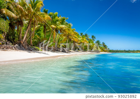 Tropical paradise: turquoise beach in Punta Cana, Caribbean, Dominican Republic 93025892