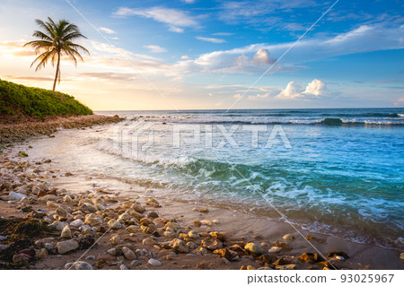 Tropical paradise, Montego bay caribean beach at sunset, Jamaica Tropical paradise, Montego bay caribean beach at sunset, Jamaica 93025967