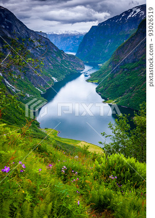 Majestic naeroyfjord from above in western Norway, Scandinavia Majestic naeroyfjord from above in western Norway, Scandinavia 93026519