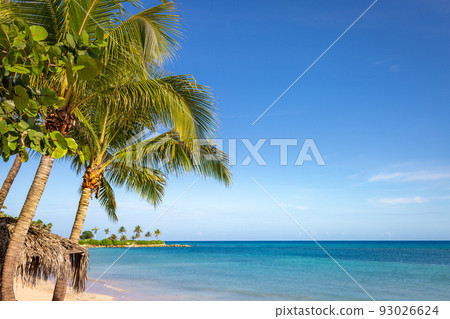 Palm trees and turquoise caribbean beach, Montego Bay, Jamaica, Tropical paradise Palm trees and turquoise caribbean beach, Montego Bay, Jamaica, Tropical paradise 93026624