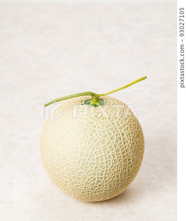 Sweet and delicious muskmelons Beautifully meshed melons are used as gifts 93027105