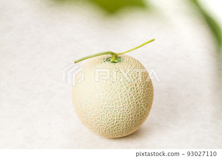 Sweet and delicious muskmelons Beautifully meshed melons are used as gifts Sweet and delicious muskmelons Beautifully meshed melons are used as gifts 93027110