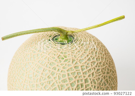 Sweet and delicious muskmelons Beautifully meshed melons are used as gifts Sweet and delicious muskmelons Beautifully meshed melons are used as gifts 93027122
