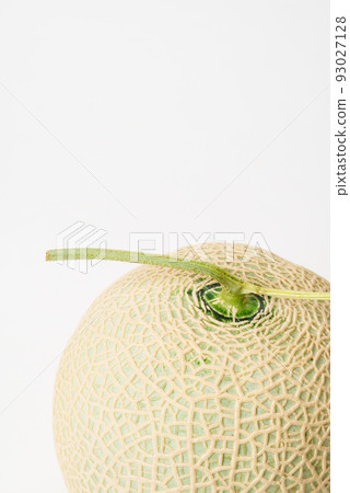 Sweet and delicious muskmelons Beautifully meshed melons are used as gifts Sweet and delicious muskmelons Beautifully meshed melons are used as gifts 93027128