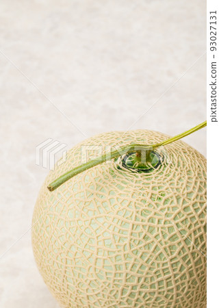 Sweet and delicious muskmelons Beautifully meshed melons are used as gifts 93027131