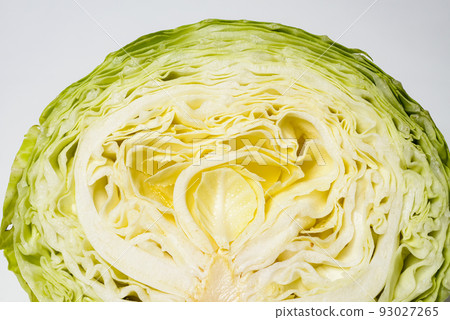 Fresh, sweet cabbage. A delicious vegetable used in salads, stews, and other dishes. 93027265