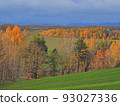 Larch shining late autumn hills 93027336