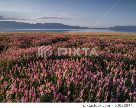 Scenery (Ili, China) 93028844