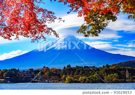 Yamanashi Prefecture Autumn foliage near Lake Kawaguchi Mount Fuji seen from Rusugaiwa Beach 93029053