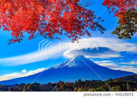 Yamanashi Prefecture Autumn foliage near Lake Kawaguchi Mount Fuji seen from Rusugaiwa Beach Yamanashi Prefecture Autumn foliage near Lake Kawaguchi Mount Fuji seen from Rusugaiwa Beach 93029055