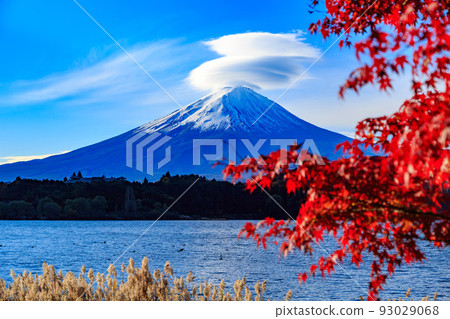 Yamanashi Prefecture Autumn foliage near Lake Kawaguchi Mount Fuji seen from Rusugaiwa Beach 93029068