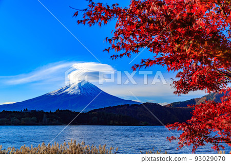 Yamanashi Prefecture Autumn foliage near Lake Kawaguchi Mount Fuji seen from Rusugaiwa Beach 93029070