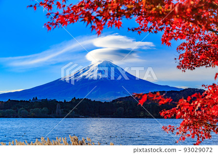 Yamanashi Prefecture Autumn foliage near Lake Kawaguchi Mount Fuji seen from Rusugaiwa Beach Yamanashi Prefecture Autumn foliage near Lake Kawaguchi Mount Fuji seen from Rusugaiwa Beach 93029072