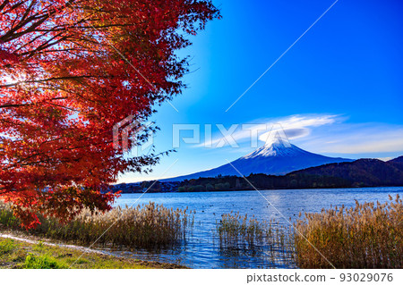 從留臼岩海灘看河口湖富士山附近的山梨縣紅葉 從留臼岩海灘看河口湖富士山附近的山梨縣紅葉 93029076
