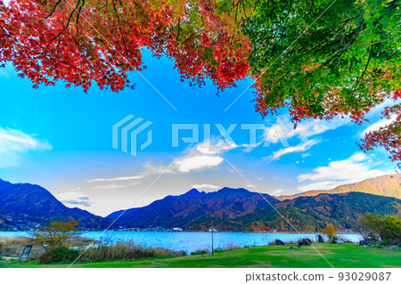 Yamanashi Prefecture Autumn leaves near Lake Kawaguchi Koumi Park 93029087