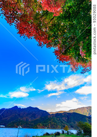 Yamanashi Prefecture Autumn leaves near Lake Kawaguchi Koumi Park 93029088