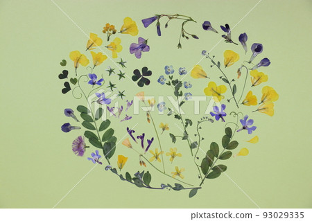 Pressed flower art of cute wild flowers 93029335