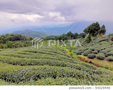 南投、水里、水里、埔里、日月潭、鬼戶、湖阪天 南投、水里、水里、埔里、日月潭、鬼戶、湖阪天 93029440