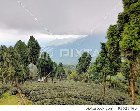 南投、水里、水里、埔里、日月潭、鬼戶、湖阪天 93029469