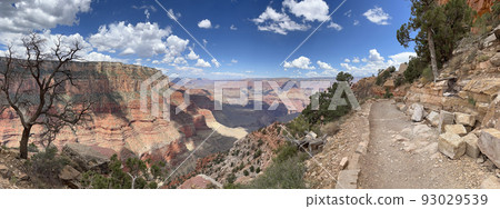 Panoramic view of South Kaibab Trail, Grand Canyon, USA 93029539