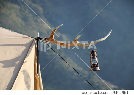 Deer horn hanger oil lantern in the morning sun 93029611