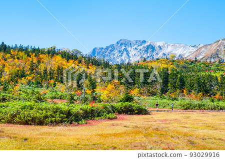 Tsugaike Nature Garden (Autumn) Tsugaike Nature Garden (Autumn) 93029916