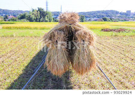 稻田景觀 稻田景觀 93029924