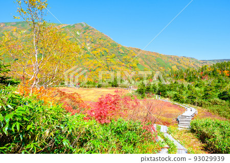 Tsugaike自然花園(秋季) Tsugaike自然花園(秋季) 93029939
