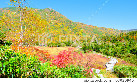 Tsugaike自然花園（秋季） 93029940