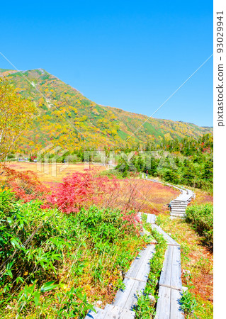 Tsugaike Nature Garden (Autumn) Tsugaike Nature Garden (Autumn) 93029941