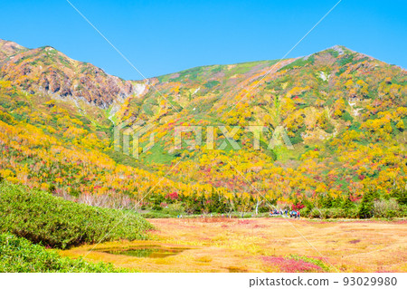 Tsugaike Nature Garden (Autumn) 93029980