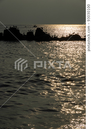 Seabirds dancing in the golden sea and sky 93030100