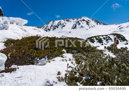 Raicho Tateyama Winter Raicho Tateyama Winter 93030490
