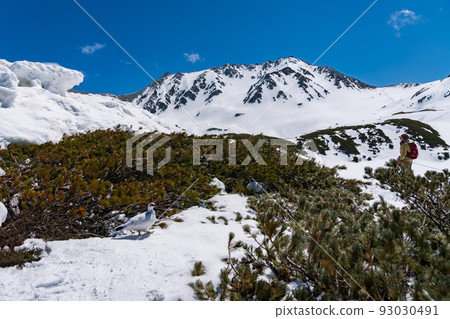 Raicho Tateyama Winter Raicho Tateyama Winter 93030491